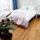 Studio de vanzare in Sinaia, investitie in turism